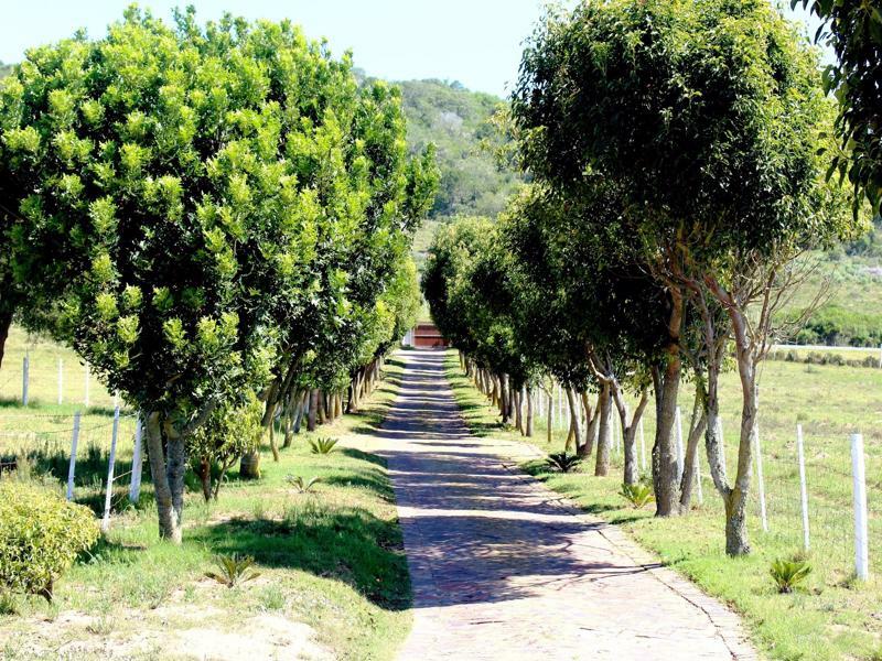 Eagles Nest Villa Sedgefield Dış mekan fotoğraf